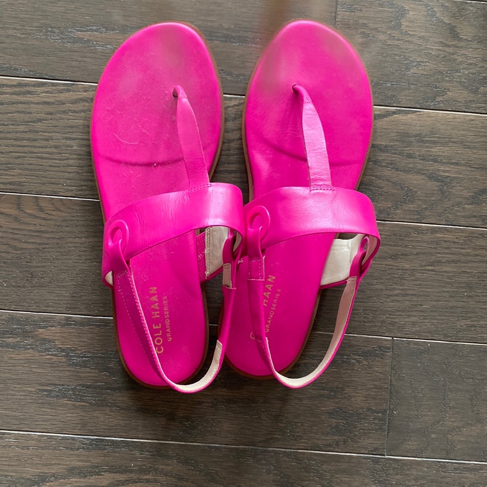 Barely worn excellent condition hot pink Cole Hasan flats!
